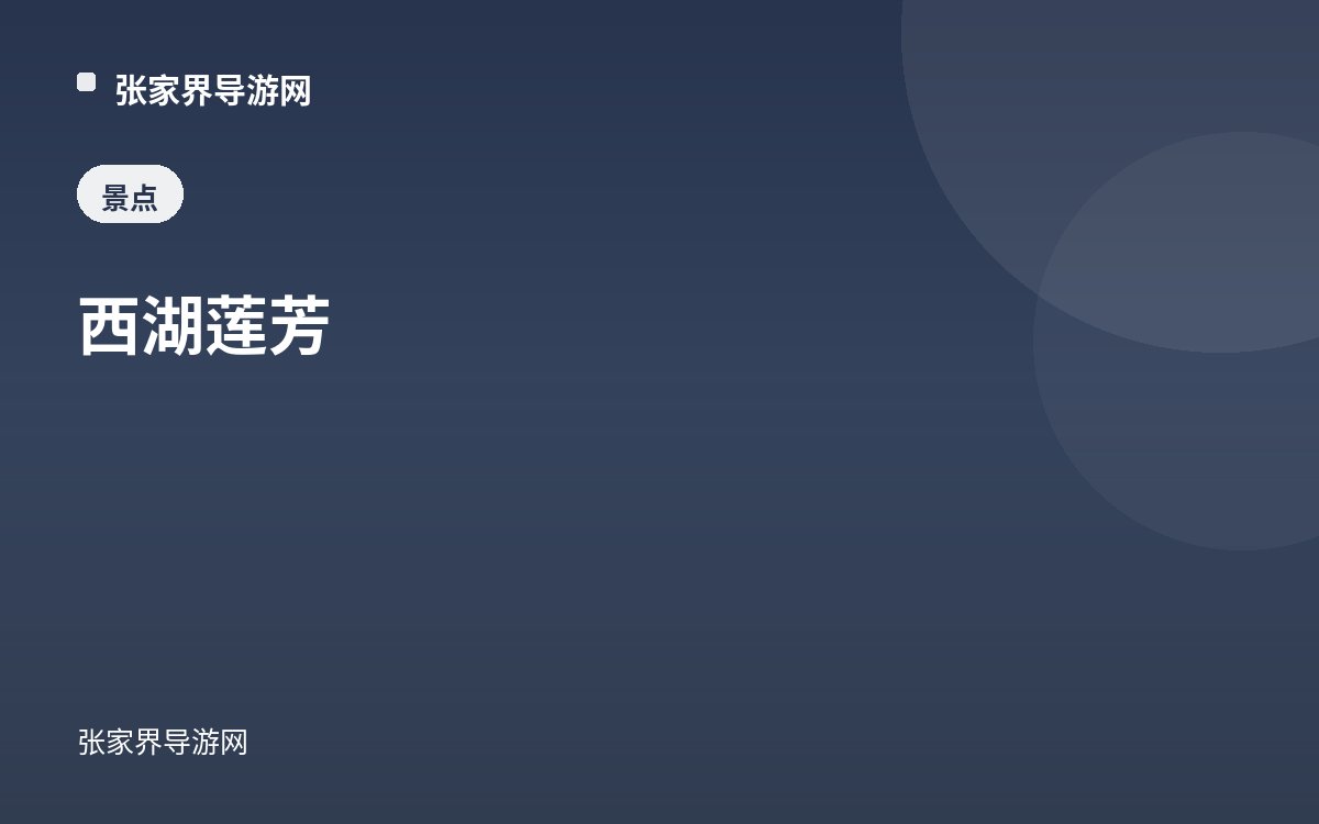 西湖莲芳