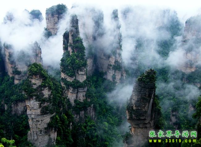 袁家界景区——后花园