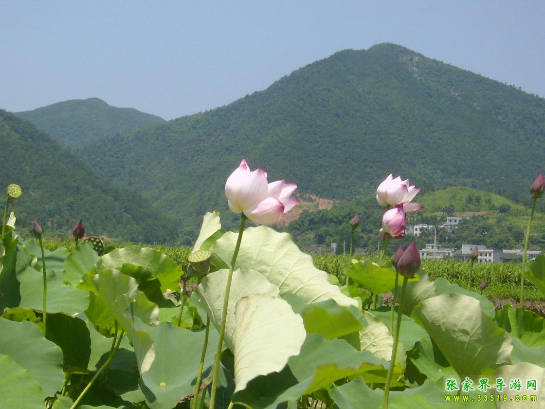 隐　山