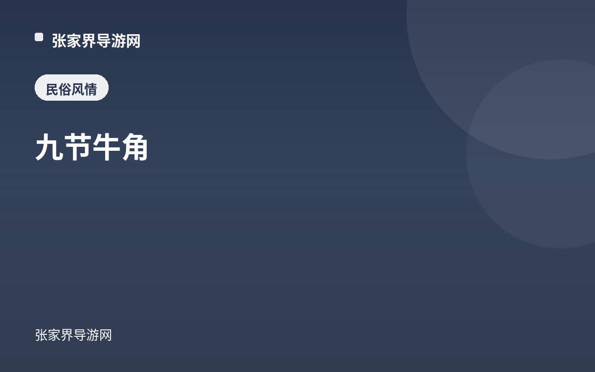 九节牛角