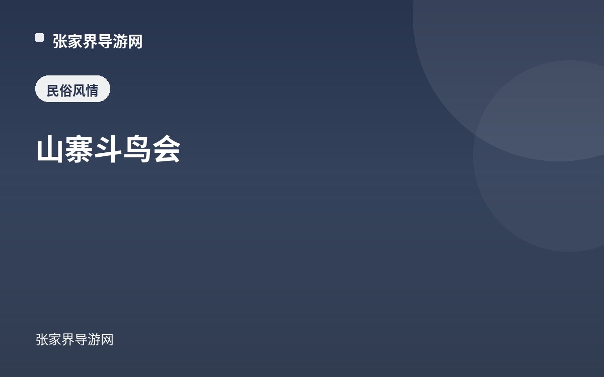 山寨斗鸟会