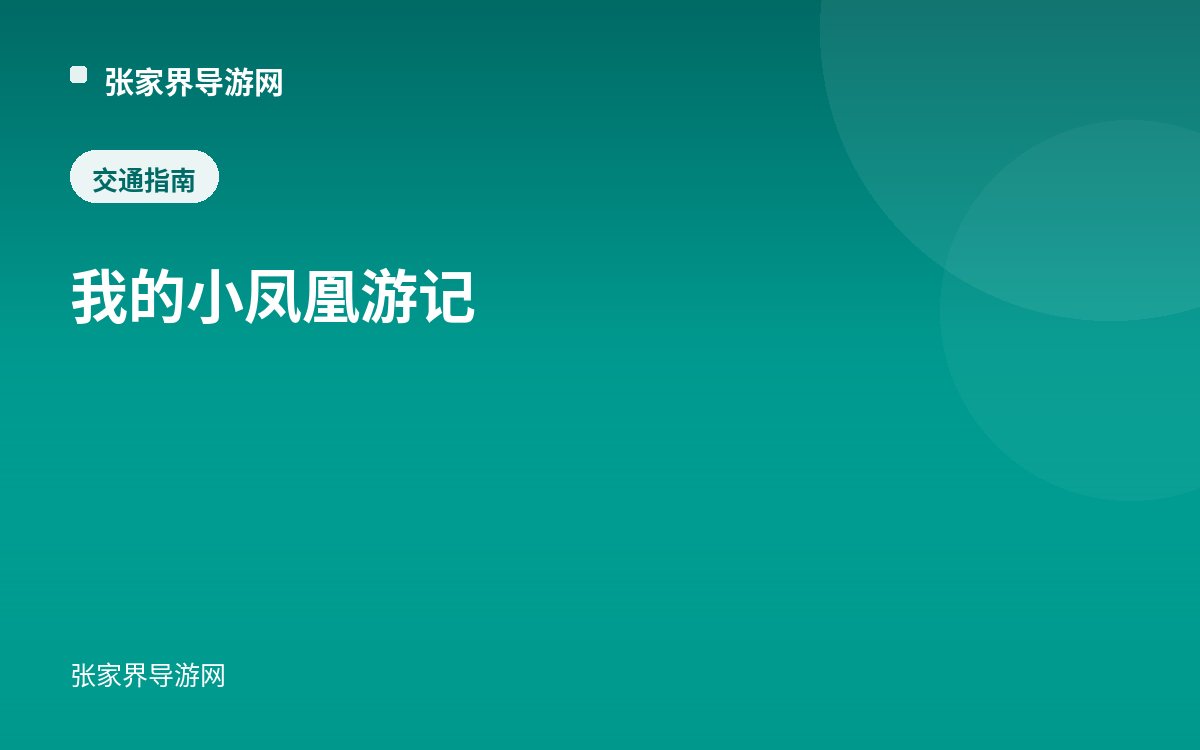 我的小凤凰游记