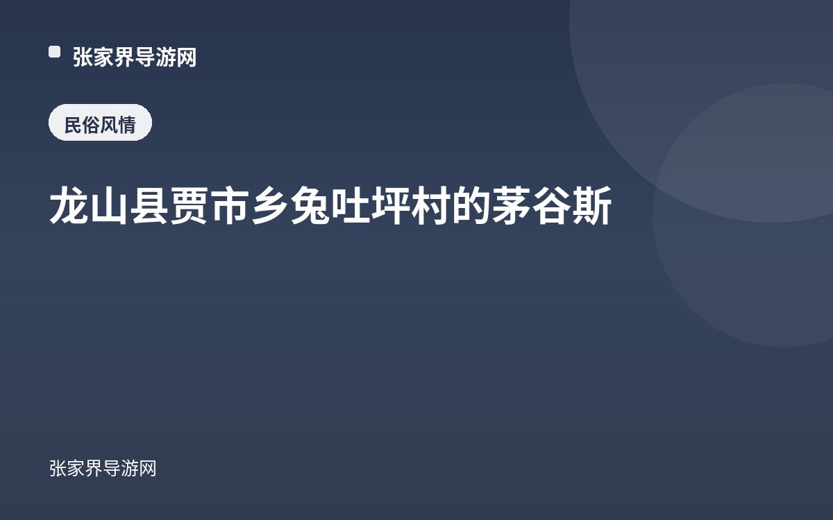 龙山县贾市乡兔吐坪村的茅谷斯