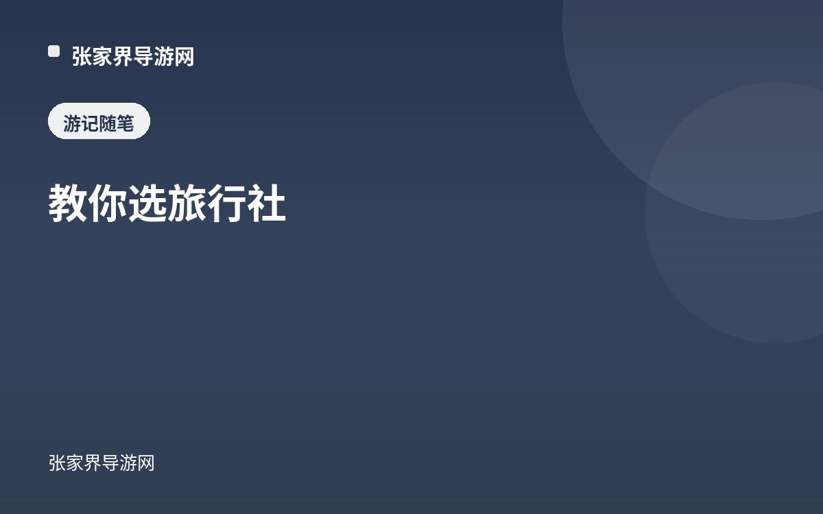 教你选旅行社