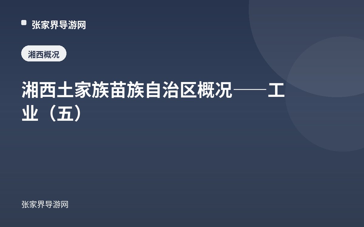 湘西土家族苗族自治区概况——工业（五）
