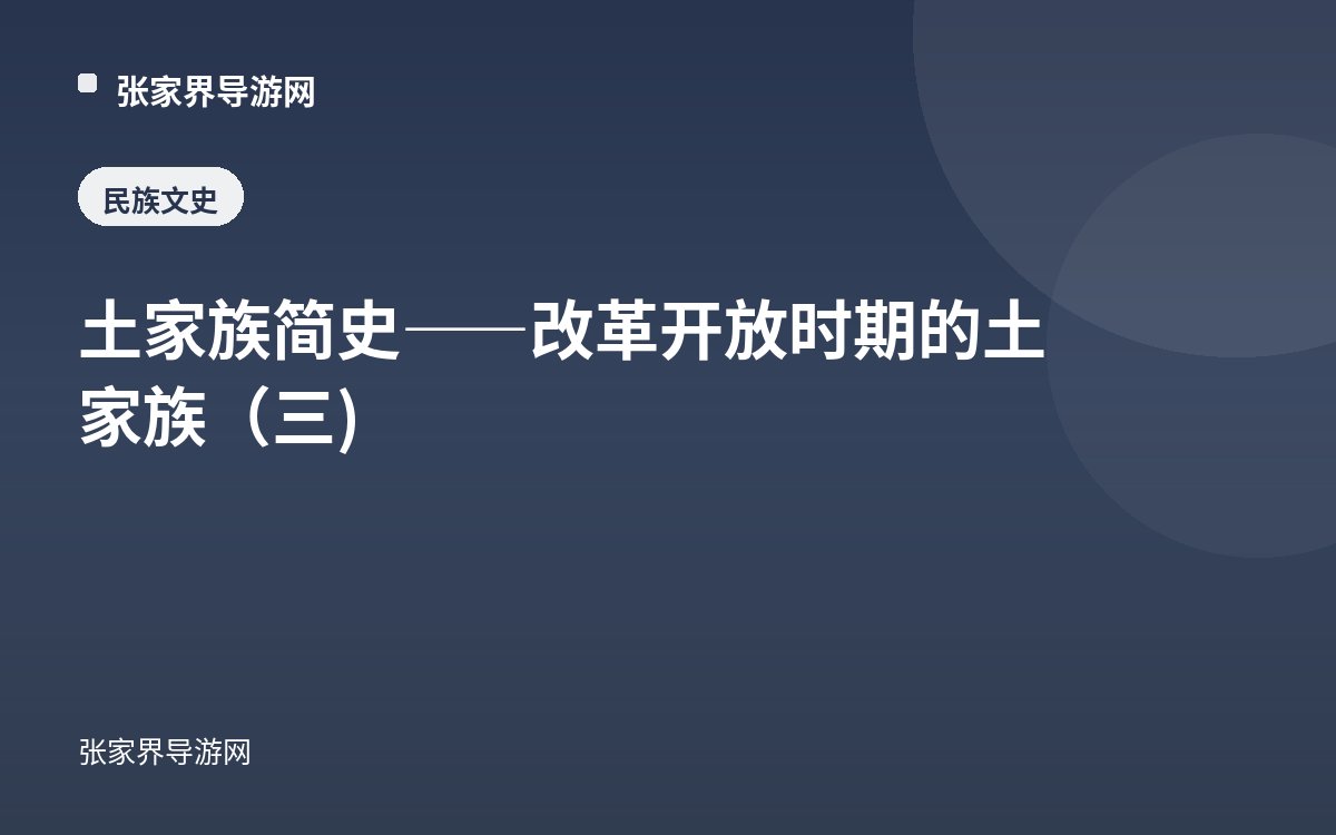 土家族简史——改革开放时期的土家族（三)